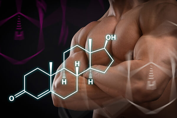 testosterone molecule and man with muscles