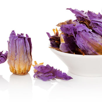 Dried blue lotus supplement