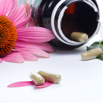 Echinacea as a dietary supplement for immune health